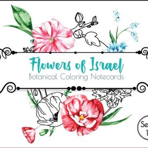 Flowers of Israel – Botanical Coloring Notecards